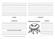 Qualle-Faltbuch-vierseitig-2.pdf
